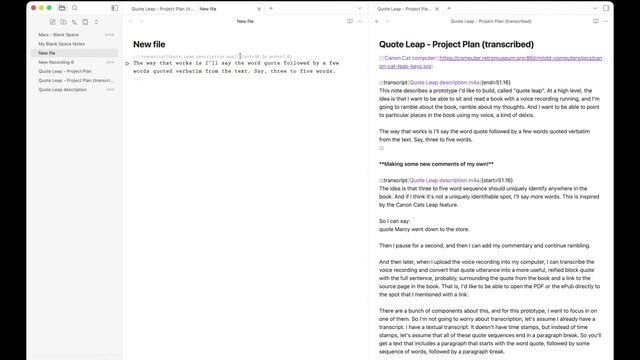 Side-by-side view of a text editor app with a new file on the left showing a pasted transcript block with timestamp parameters, alongside the full transcribed project plan on the right.